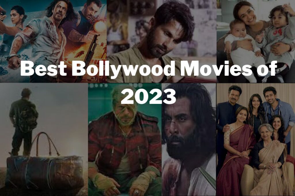 Best Movies of 2023 in the Bollywood Category