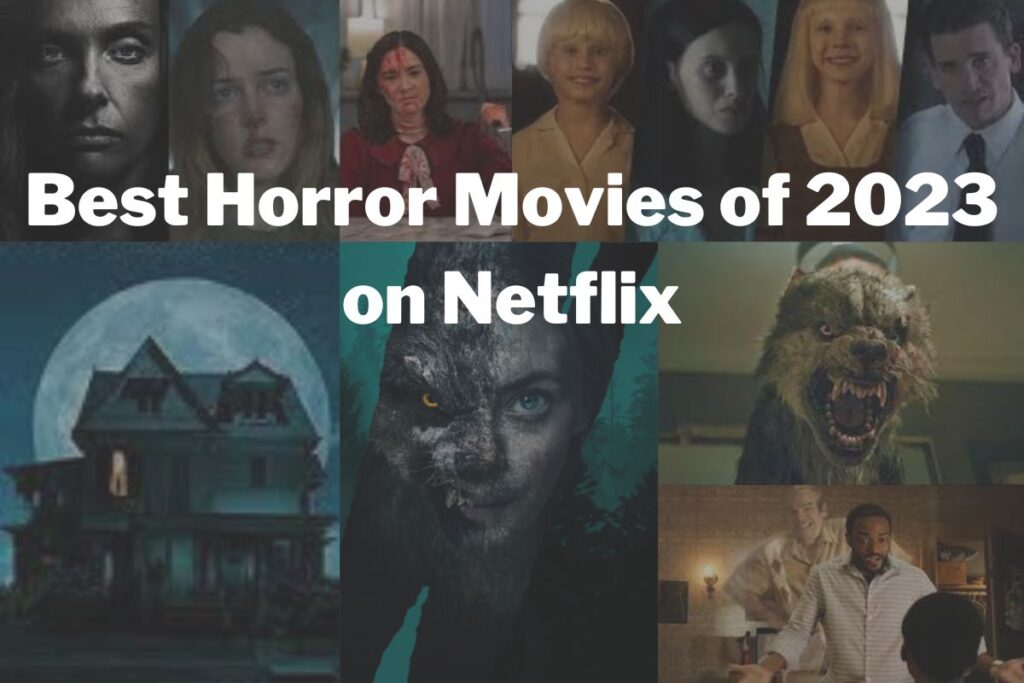 Best Movies of 2023 on Netflix in the Horror Category