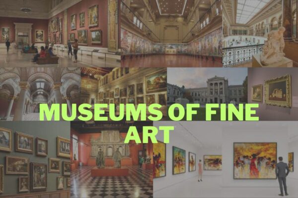 Museums of Fine Art